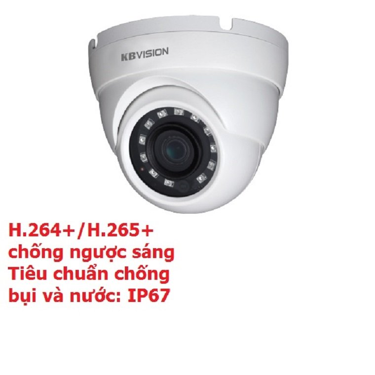 Camera IP Dome hồng ngoại 2.0 Megapixel KBVISION KX-2012TN3