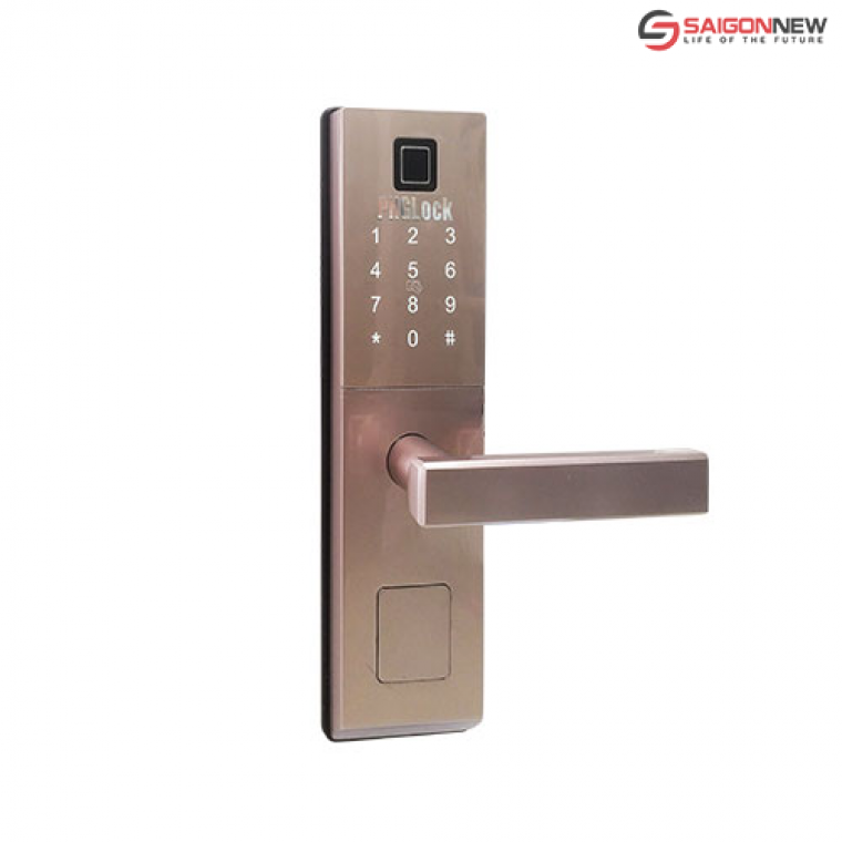 Khoá cửa phòng văn phòng PHGLock FP6021AS (Amber Silver)